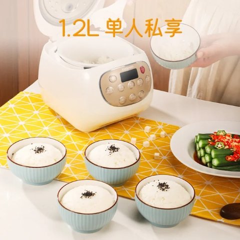 DFB-C 陶瓷电饭煲 3L