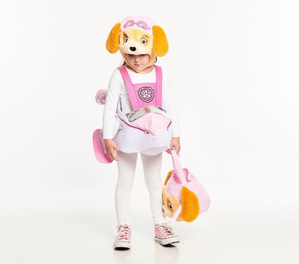 PAW Patrol Skye Kids Costume 4-6Y