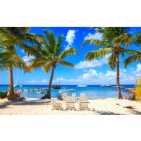 Riu Bambu 全包酒店 多米尼加