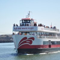 Red and White Fleet 游船票 旧金山湾