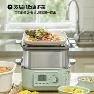 蒸炖锅大号电蒸锅G67 