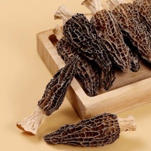 盒马 高山羊肚菌 山珍菌菇干货 25g