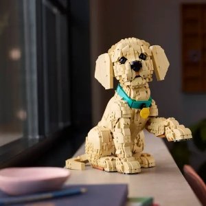 $139.99 预订送礼 2/1上市预告：和你家🐕一样吗？LEGO 金毛幼犬