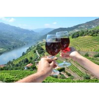 Flavors of Iberia 葡萄牙西班牙美食美酒之旅