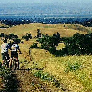 别只去湾区网红墙‼️硅谷工程师私藏的5⃣...