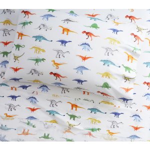 Pottery Barn Kids 有机恐龙床品套装 皇后尺寸