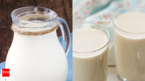 全脂奶VS脱脂奶🥛健康真相大揭秘！美国最新研究这么说！