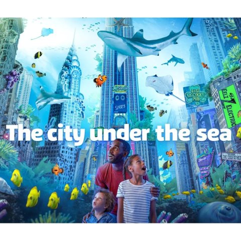 海洋生物馆 门票