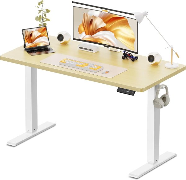 Electric Standing Desk 48x24 Inch Oak