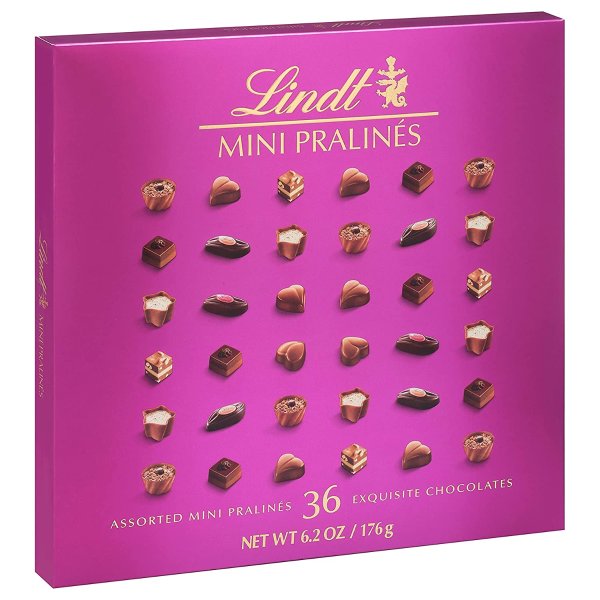 Mini Pralines, Assorted Chocolate Pralines with Premium Filling, Great for gift giving, 6.2 oz Box