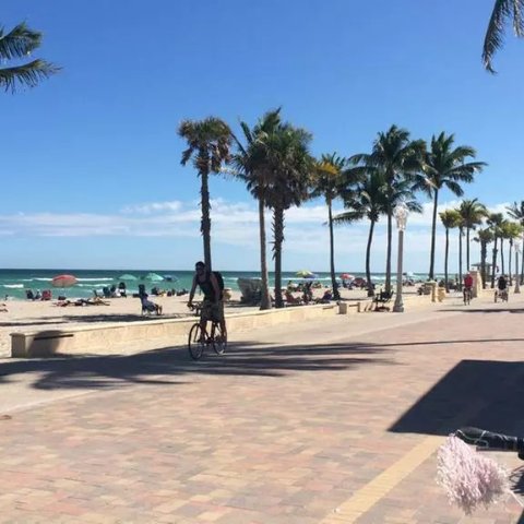 佛州好莱坞 海洋旅馆