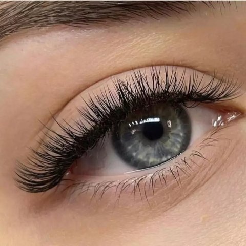 NY 每只眼睛 90 根睫毛