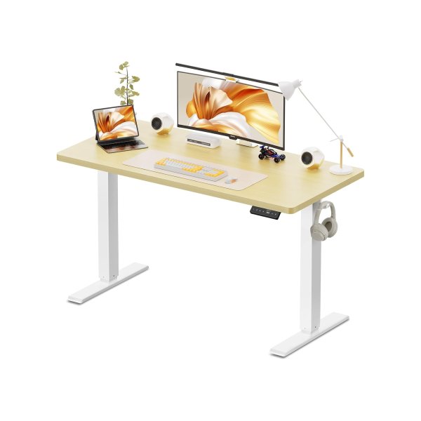 WALKINGDESK Electric Standing Desk 48x24 Inch Oak