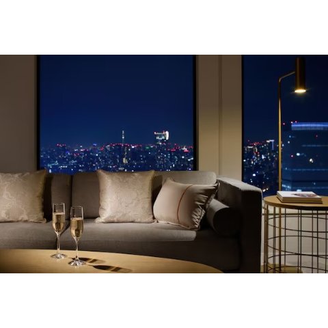 Keio Plaza Hotel Tokyo Premier Grand房型