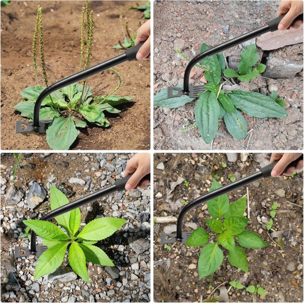 DMwespe Manganese Steel 6-Teeth Hand Weeder 2-Pack