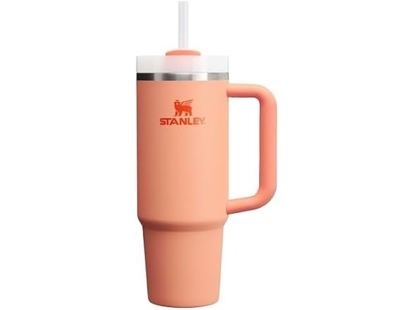  Quencher H2.0 Insulated Stainless Steel Tumbler 30oz Nectarine