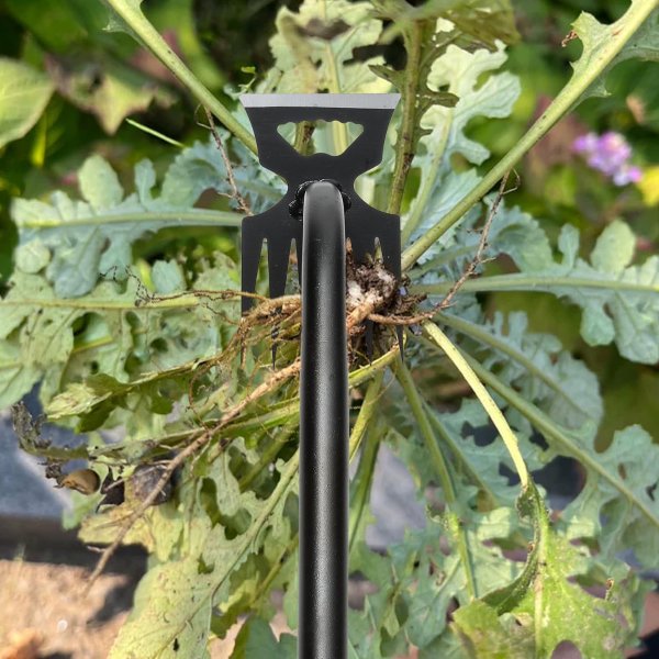 DMwespe Manganese Steel 6-Teeth Hand Weeder 2-Pack