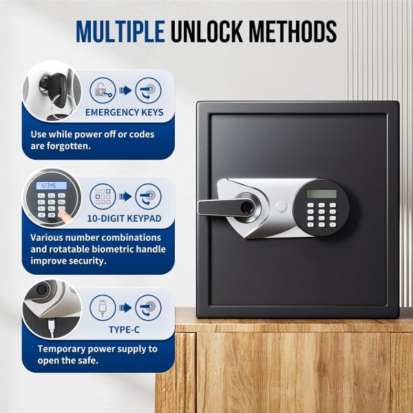 BlackSmith Safe Box Biometric Fingerprint 1.5 Cubic Feet Black