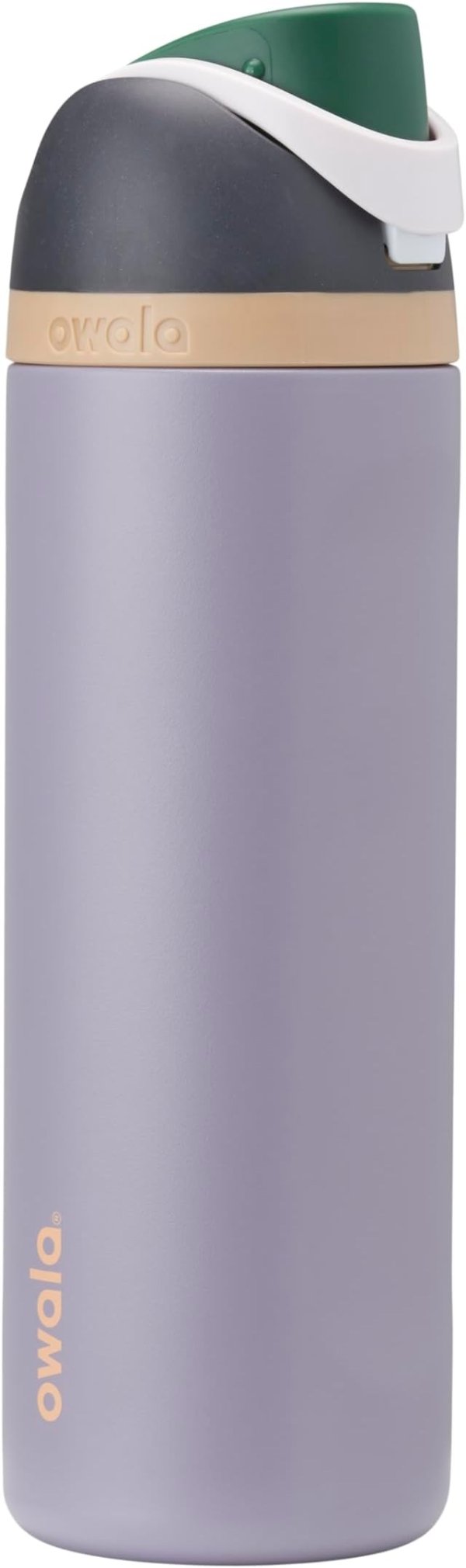 Owala FreeSip Stainless Steel Water Bottle 24oz Grey