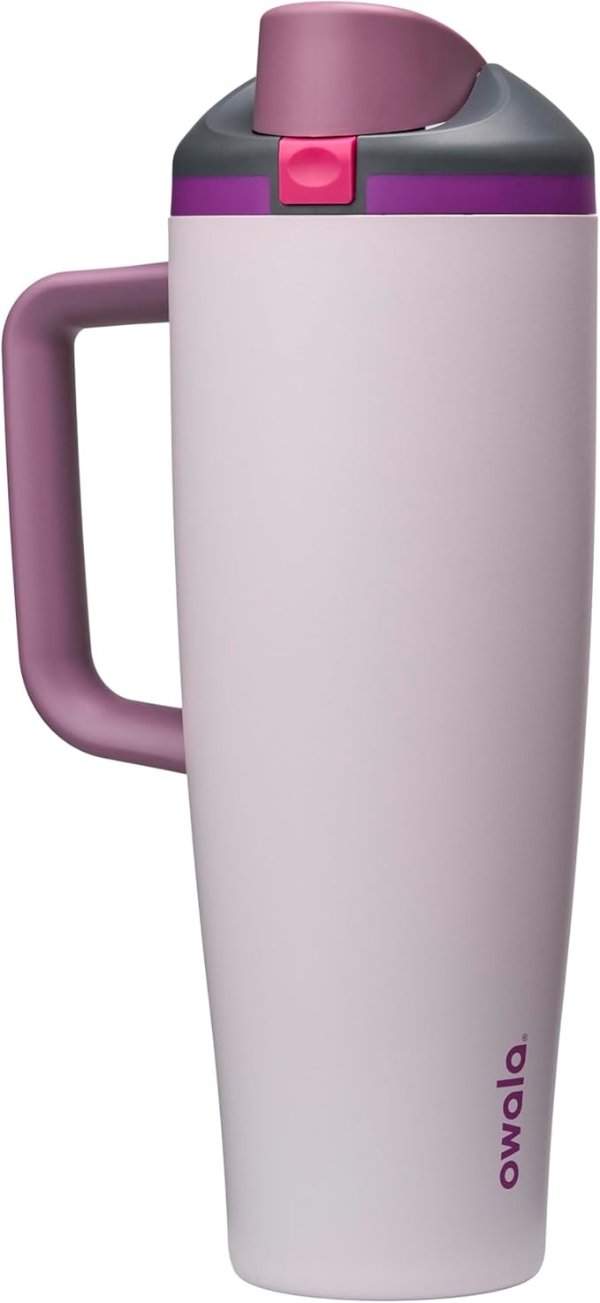 Owala FreeSip Insulated Tumbler 40oz Dreamy Field