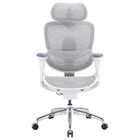 Doro C300 Pro V2 白色人体工学办公椅