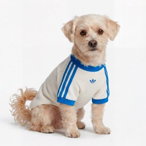 adidasPET CALI TEE 短袖T恤