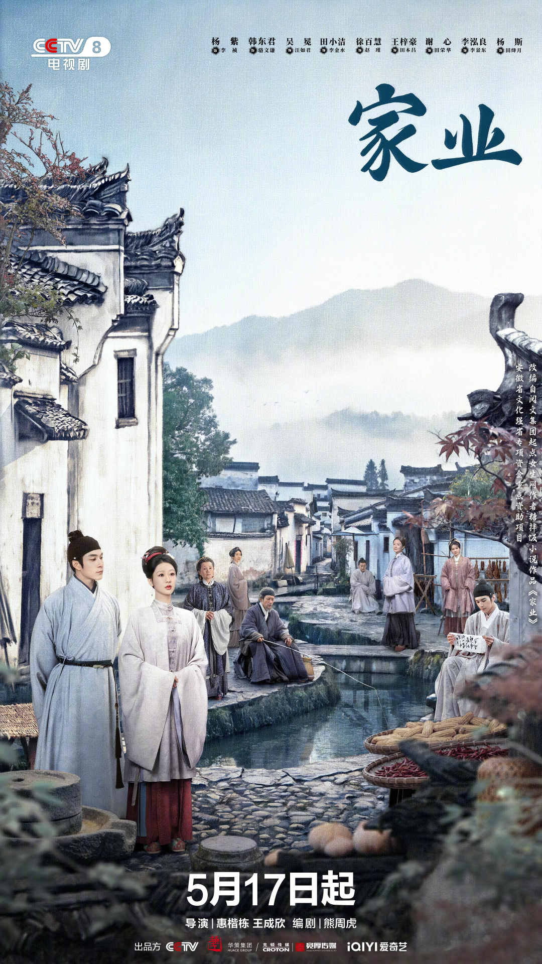 家业的海报