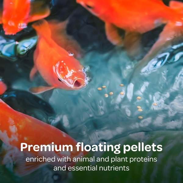 Koi’s Choice Koi Floating Fish Food 10 lbs