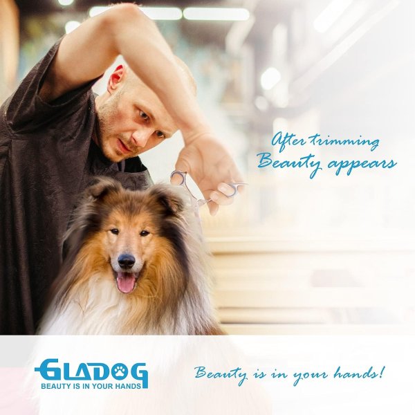 GLADOG 5 in 1 Pet Grooming Scissors Set