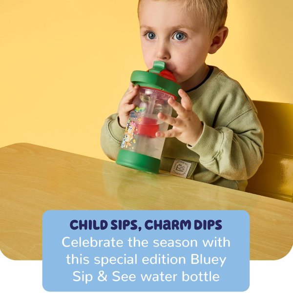 TheFirstYears The First Years Bluey Toddler Water Bottle 13oz