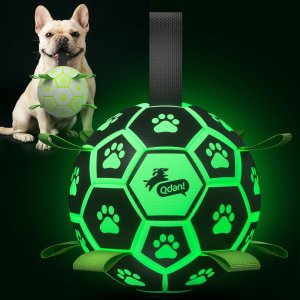 $11.99 夜光狗狗玩具