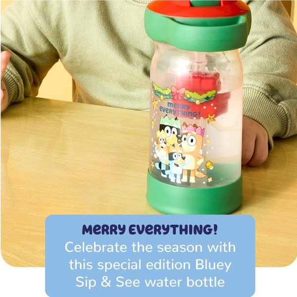 TheFirstYears The First Years Bluey Toddler Water Bottle 13oz