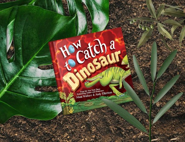 How to Catch a Dinosaur 英文绘本