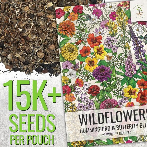Seed Needs 花卉种子 1盎司 吸引传粉