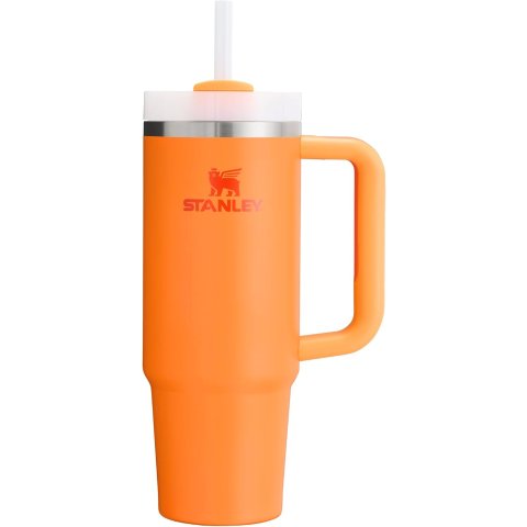Quencher H2.0 不锈钢杯