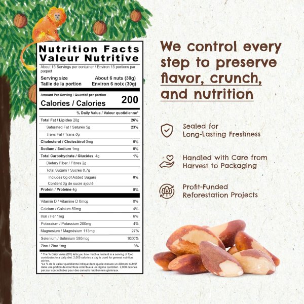 Forest Up Brazil Nuts 15oz Raw Unsalted