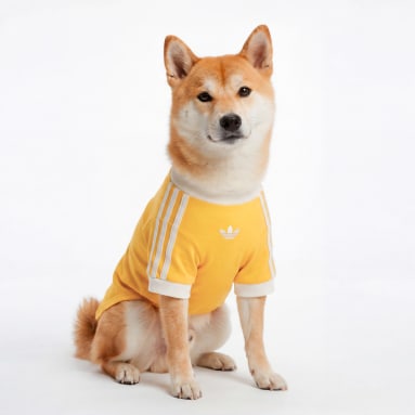 adidas宠物系列上新 原价$35起｜毛孩也能穿潮牌！