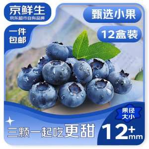 mr seafood 蓝莓 12盒装 125g