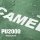CAMEL CROWN Camping Dome Tent Waterproof 2 Person
