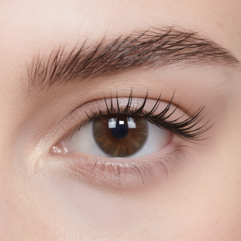 moody Wild Shadow Monthly Contact Lenses 2 Pack