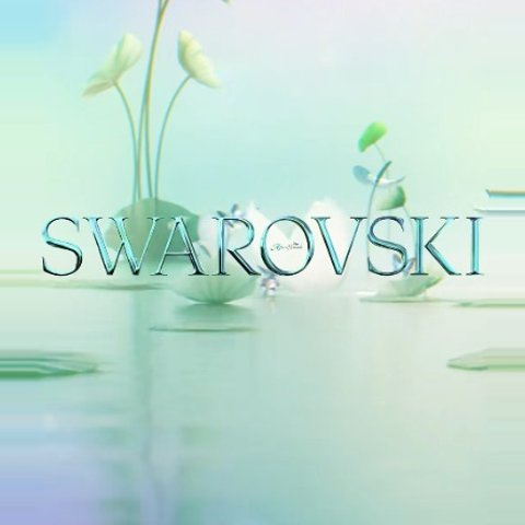 耳环$34Swarovski Outlet 精致首饰低至6折