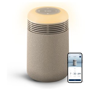 Blueair Mini 空气净化器