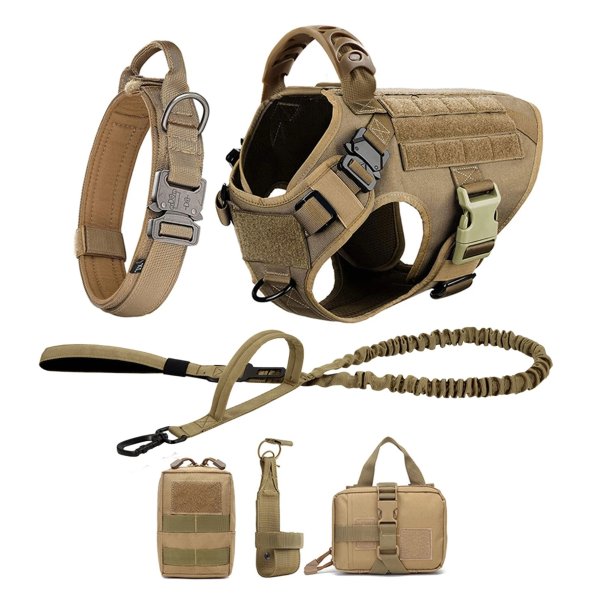 Large Dog Harness and Leash Set Medium Size