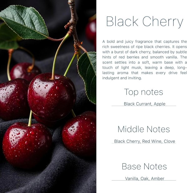 Black Cherry Car Air Freshener Hanging Diffuser 2 Pack