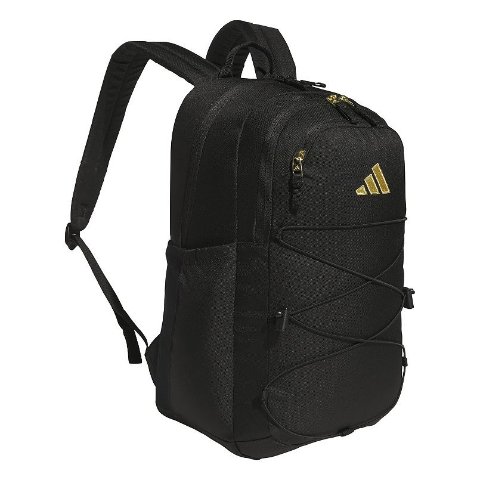 Amplifier Bungee Backpack