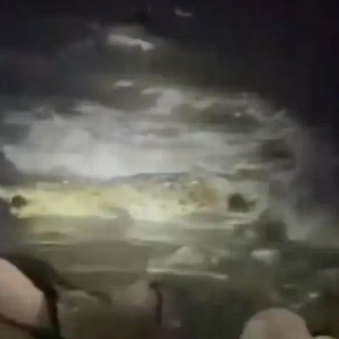 太可怕了！墨西哥度假海滩突发鳄鱼袭人致死