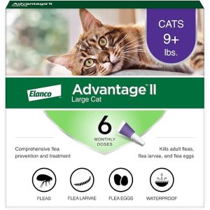 Advantage II 大猫驱蚤 6个月