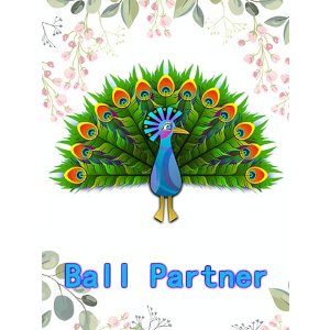 Partner Ball 训练球 1只