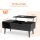 Sweetcrispy Lift Top Coffee Table Black with Storage