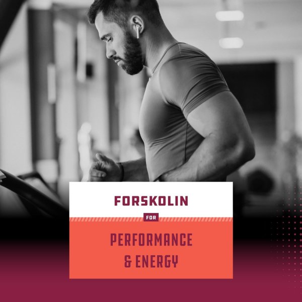 Forskolin 男士增能胶囊 套装